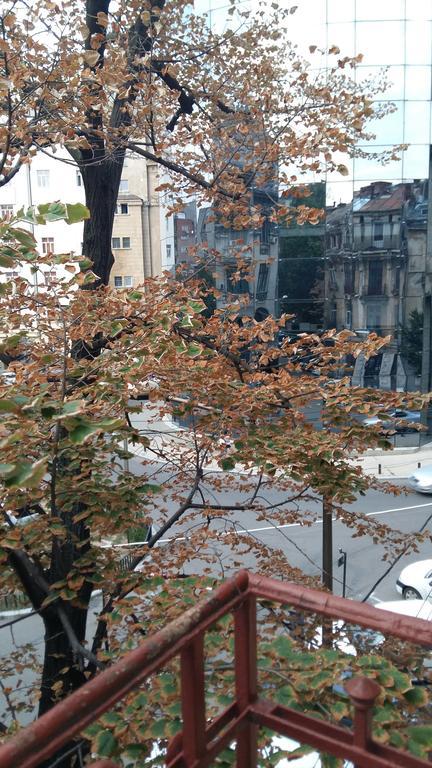 Lorena Apart Old Town Bucureşti Eksteriør bilde